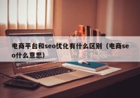 电商平台和seo优化有什么区别（电商seo什么意思）